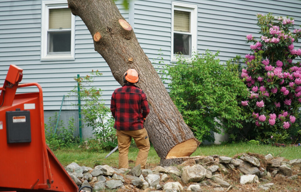 manual worker removing tree in residential area - A Robinson Landscaping Services