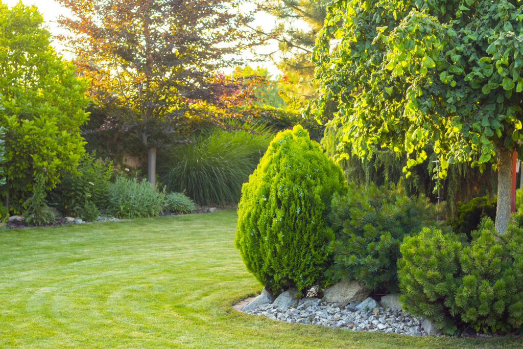 home garden with decorative trees and plants - A Robinson Landscaping Services Grass Cutting Service