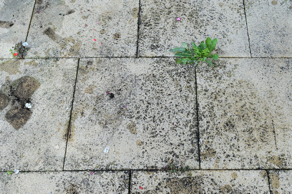 Dirty stained patio that needs cleaning - A Robinson Landscaping Services