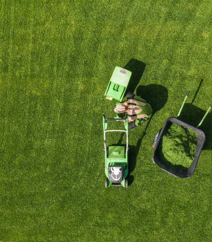 Backyard Garden Lawn Mowing and Maintenance Aerial View