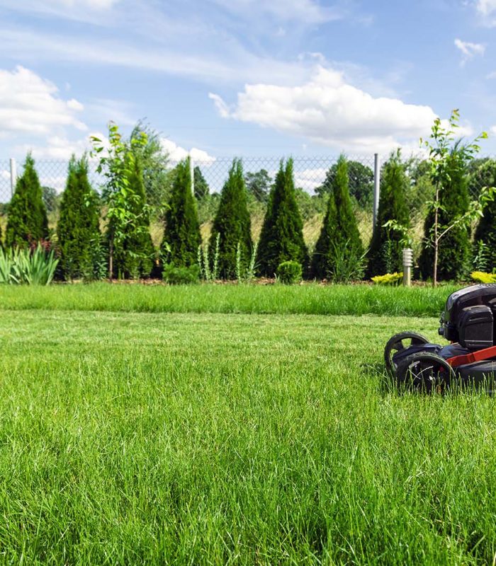 mowing-lawn-in-backyard-ZFEMN7R