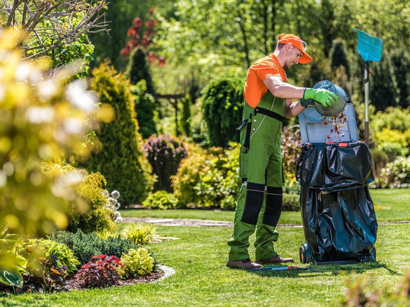 Summer Time Garden Maintenance. Caucasian Pro Gardener Cleaning Huge Backyard From Leaves and Grasses.